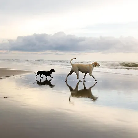 Greenwich - Part Of The The Bay Filey Village With Pool, Gym And Direct Access, Pub, Restaurant, Tennis And Meadows Walks *